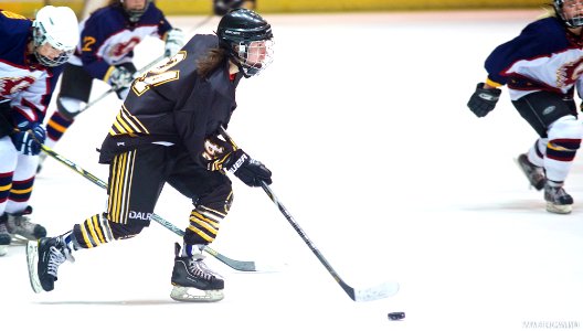 Ice Hockey - Guildford Lightning Vs Bracknell Queen Bees