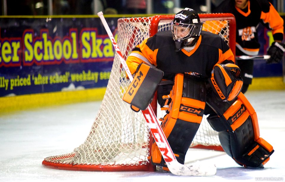 Ice Hockey - Basingstoke Bison Vs Telford Tigers