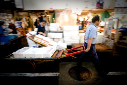Tsukiji Fish Market, Tokyo, 10/2008