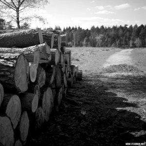RAF Beaulieu And New Forest