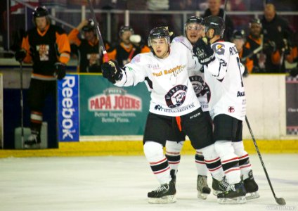Ice Hockey - Basingstoke Bison Vs Telford Tigers