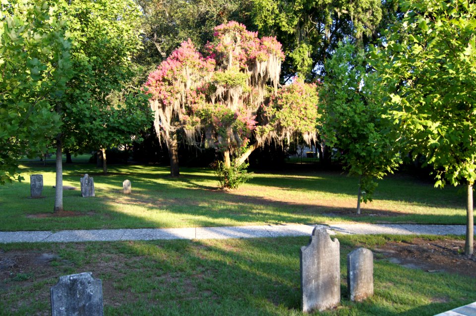 DSC01198