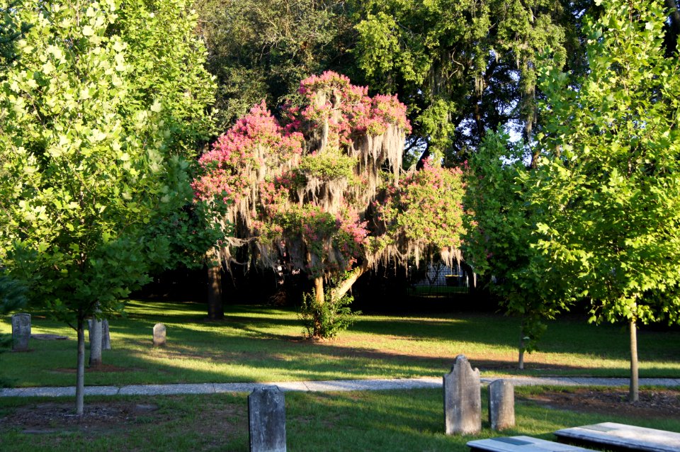 DSC01199
