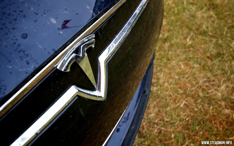 2013 Goodwood Festival Of Speed - Tesla Logo