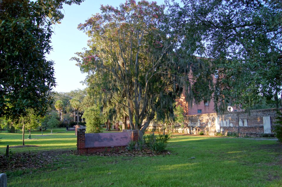 DSC01211