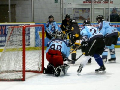 Firebees At Basingstoke Bears