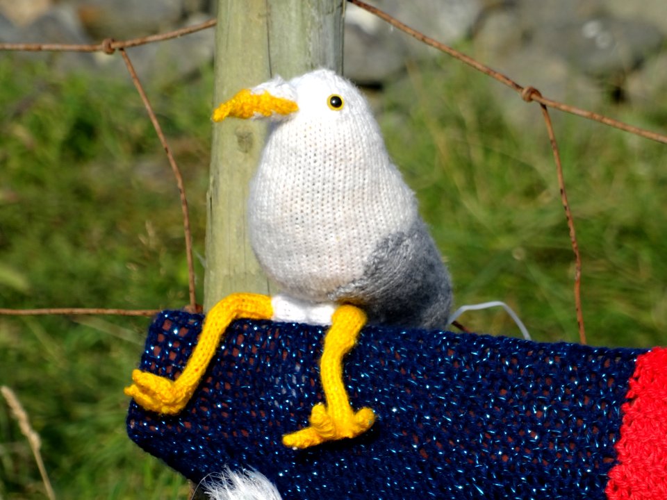 Streets of Llwyngwril decorated by yarn