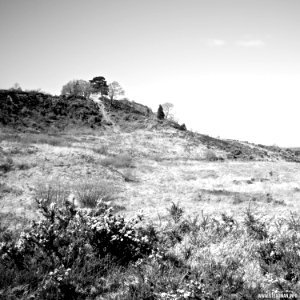 South Farnborough Landscape