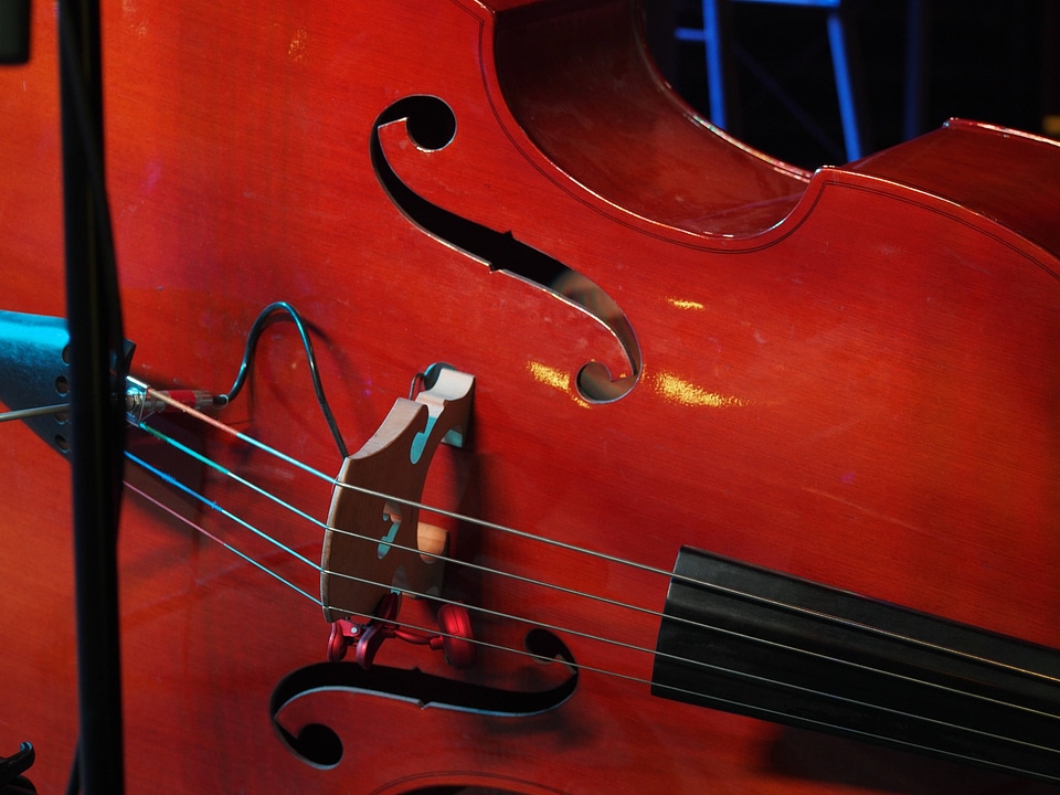Music wood instrument