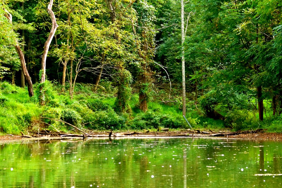 Paradise - Little Seneca Lake- Boyds MD