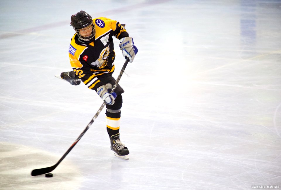 Ice Hockey - Bracknell Bees Vs Chelmsford Chieftains