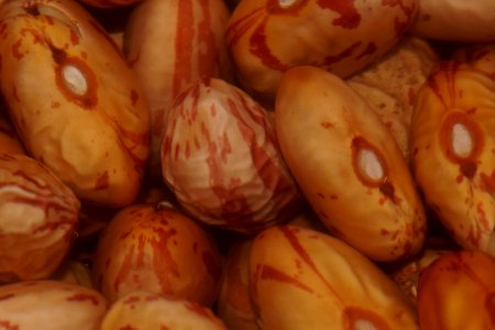 Roman Beans Soaked