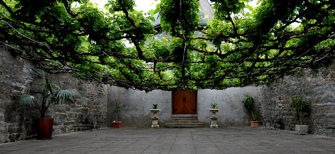 Courtyard - Tanunda SA