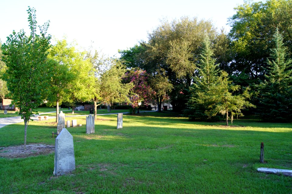 DSC01204