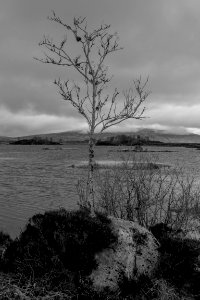Scotland in Febuary03