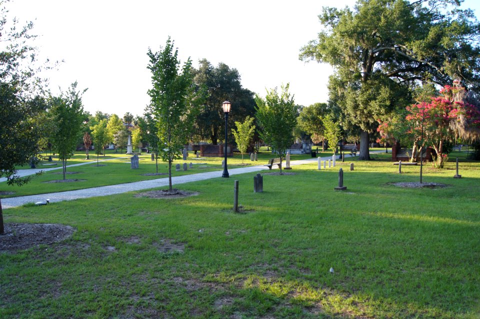 DSC01209
