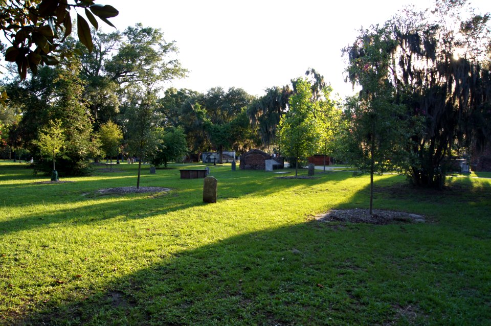 DSC01231