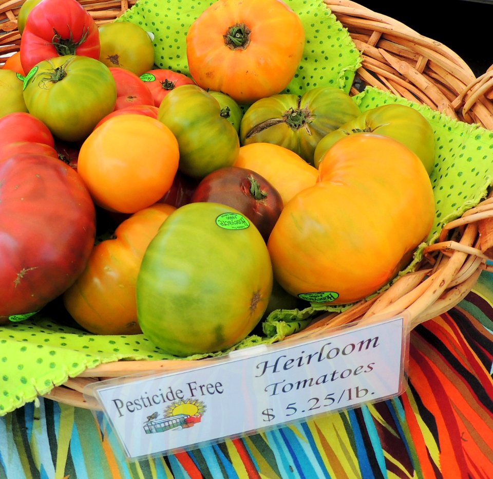 Pesticide free heirloom tomatoes
