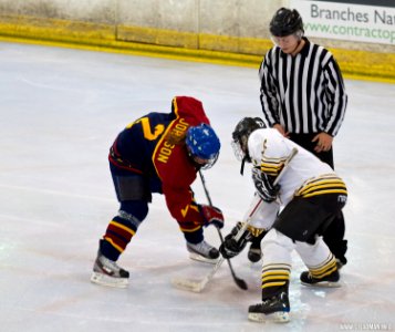 Guildford Lightning At Bracknell Queen Bees