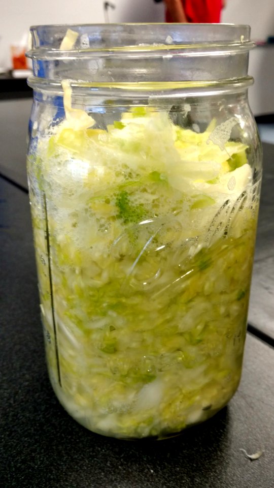 Cabbage in mason jar photo