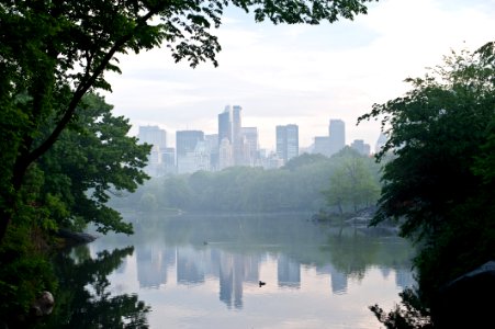 Central Park, NYC, 2011 photo