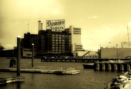 Vintage Domino Sugars