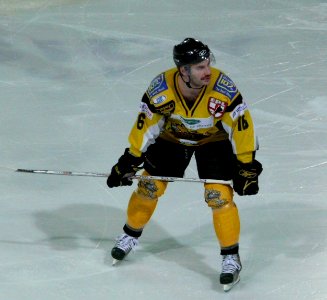 Bracknell Bees Vs Sheffield Scimitars