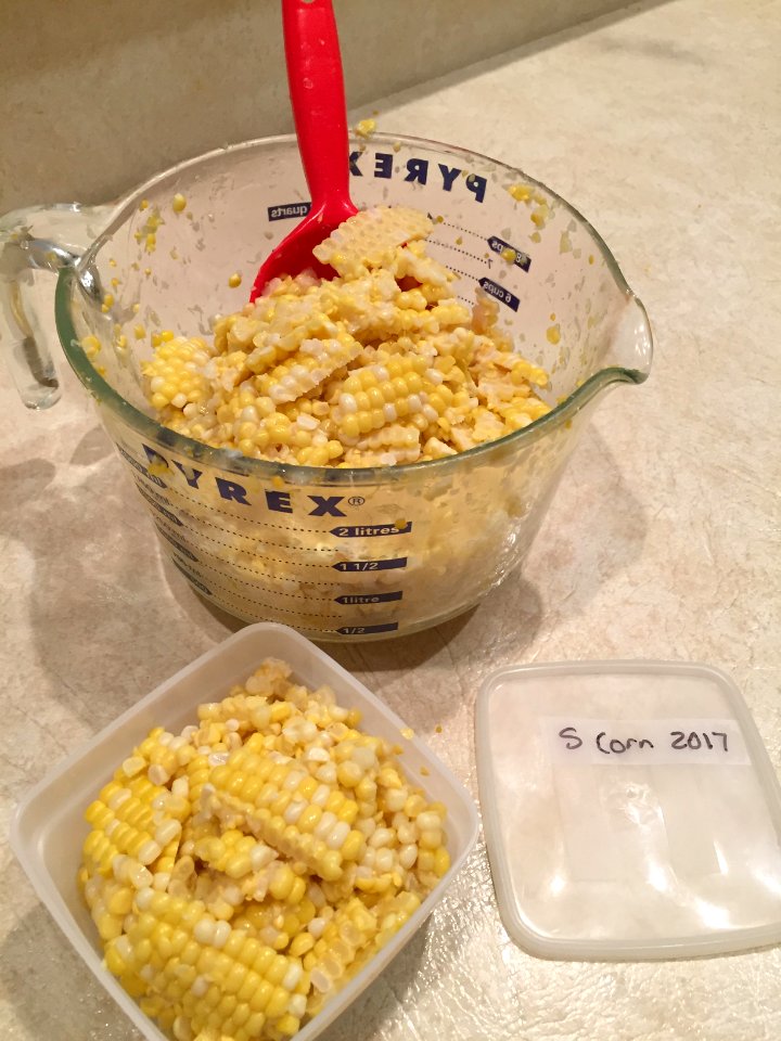 Corn being packaged for freezing 1
