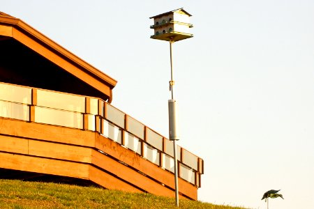 Birdhouse