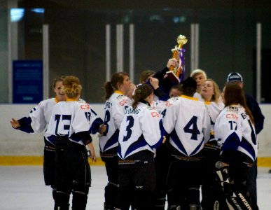 Milton Keynes Falcons Vs Chelmsford Cobras