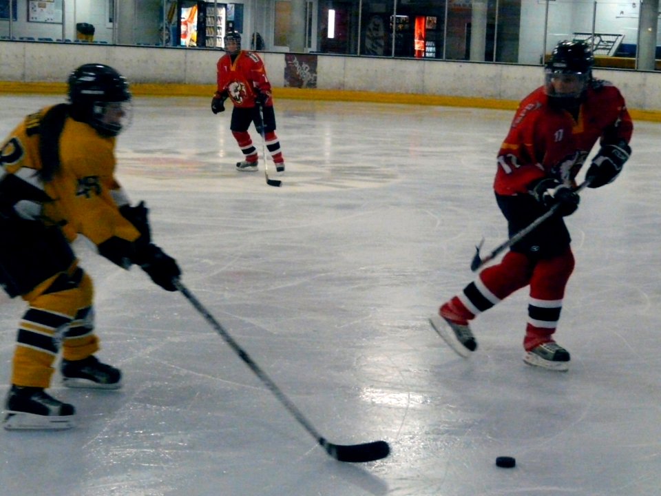 Firebees Vs Basingstoke Bison Ladies