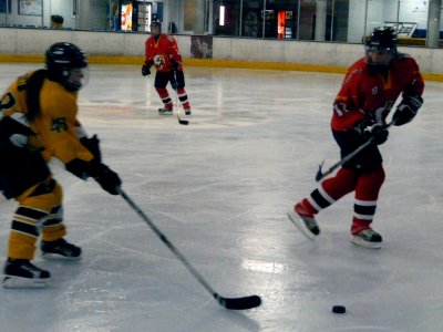 Firebees Vs Basingstoke Bison Ladies