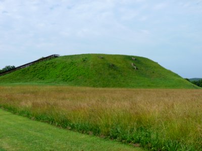 P1010960