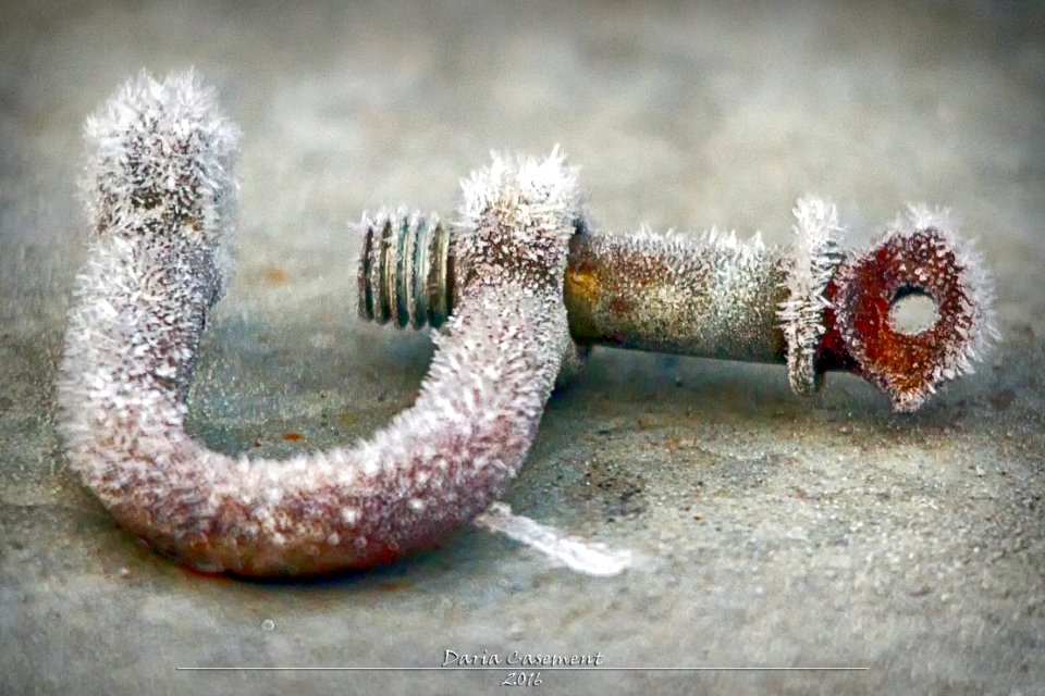 Frosty morning