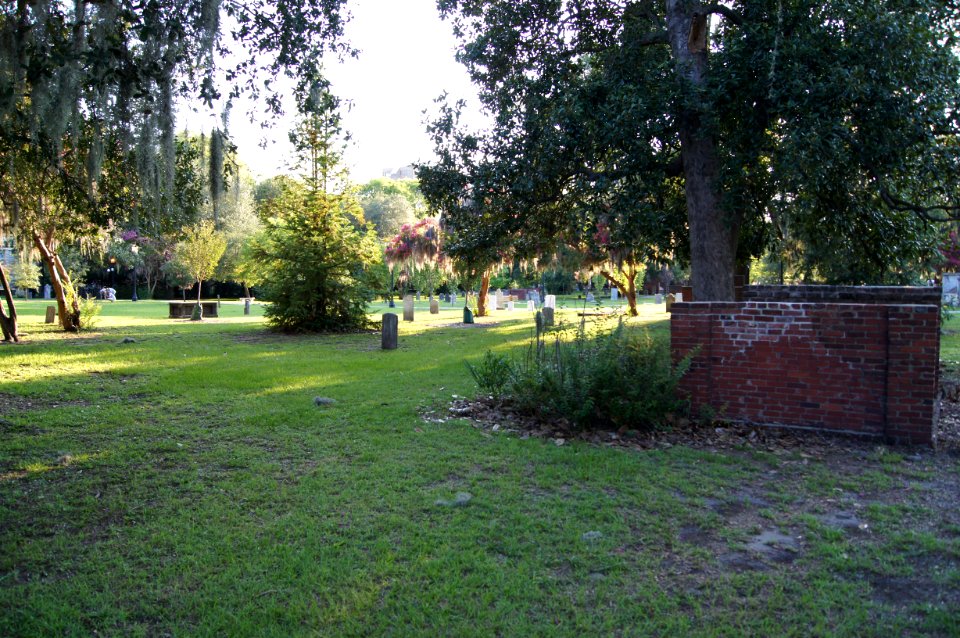 DSC01219