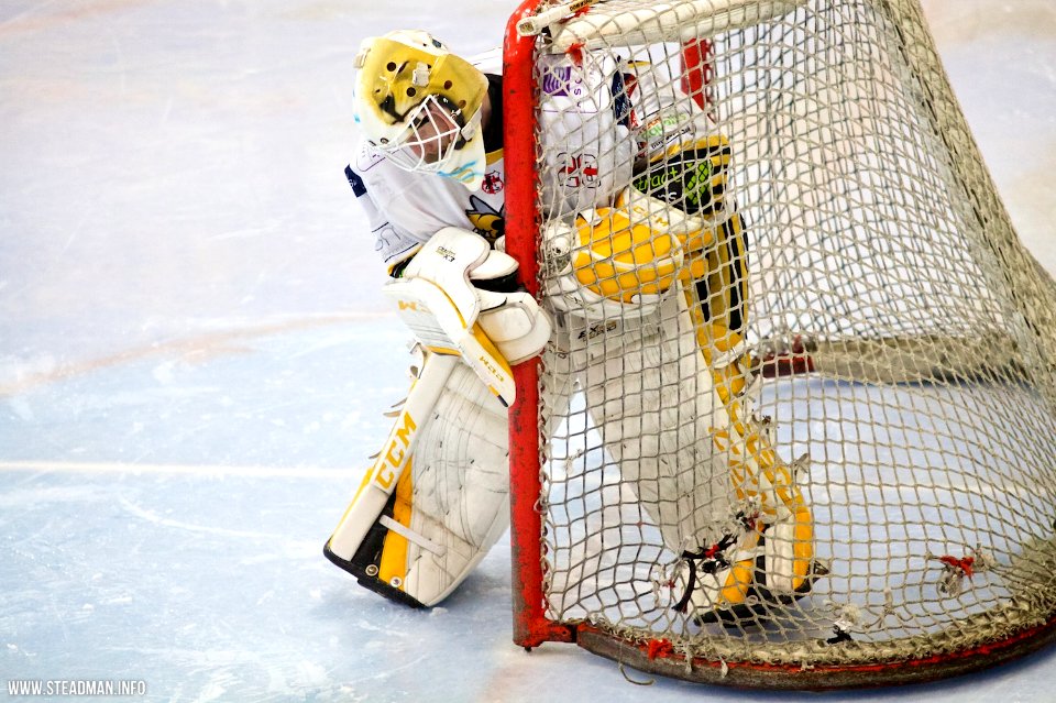 Bracknell Bees Vs Basingstoke Bison