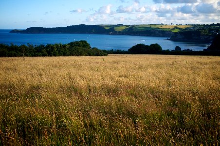 Carlyon Bay