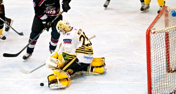Bracknell Bees Vs Basingstoke Bison