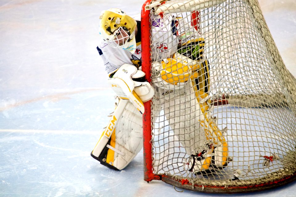 Best of 2013/14 Season: EPL and NIHL