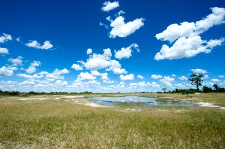 Moremi Game Reserve, Botswana, 3/2012 photo