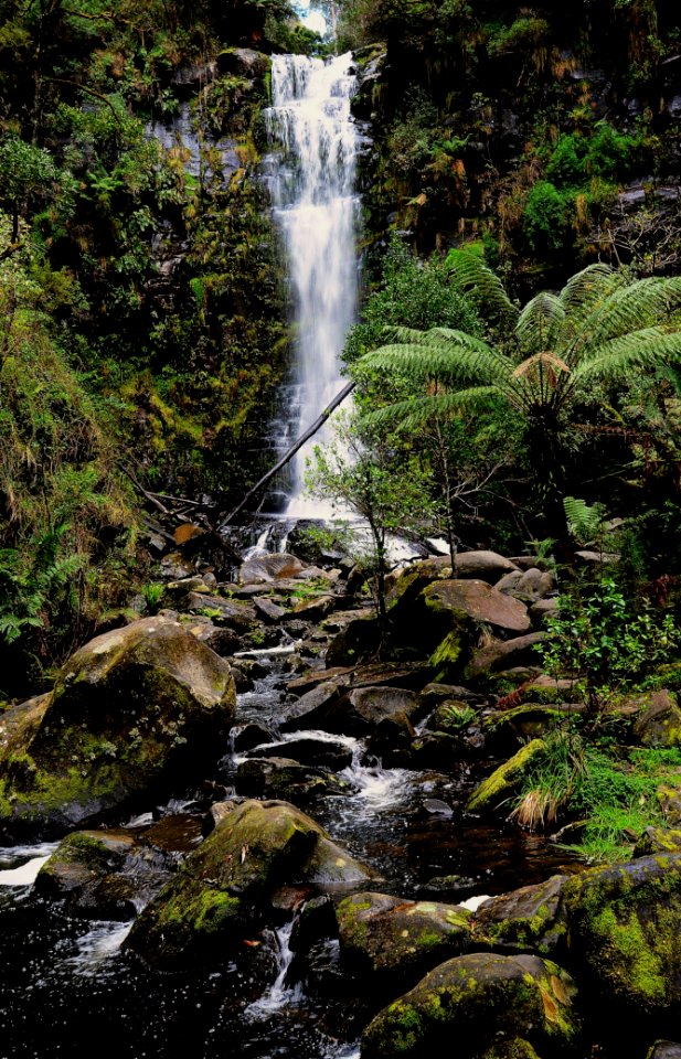Erskine Falls - Otway Ranges Vic