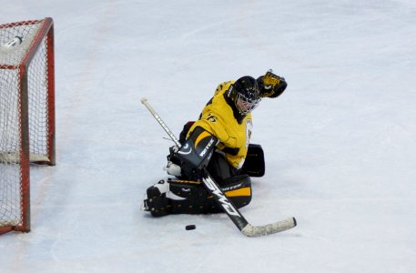Bracknell Firebees Vs Basingstoke Bears