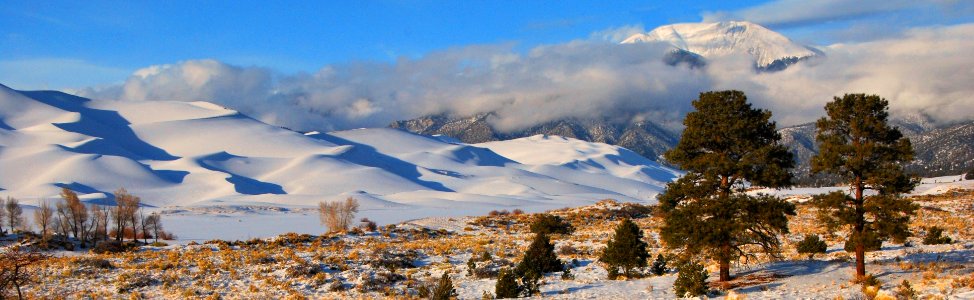 Snowy Dunes, Ponderosa Pines, and Mount Herard photo