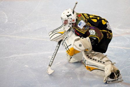 Bracknell Bees vs Milton Keynes Lightning