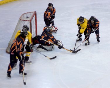 Bracknell Firebees Vs Basingstoke Bears