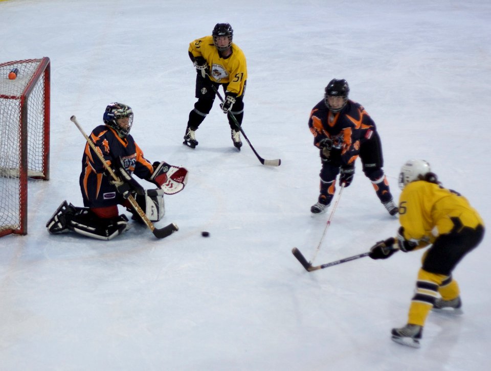Bracknell Firebees Vs Basingstoke Bears