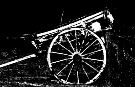 The wagon - NSW Central Coast photo