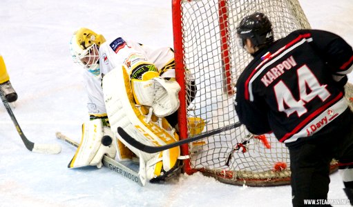 Bracknell Bees Vs Basingstoke Bison
