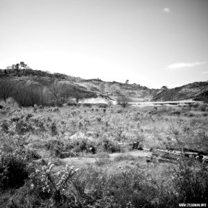 South Farnborough Landscape