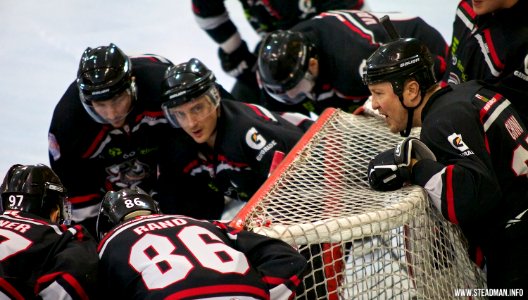 Bracknell Bees Vs Basingstoke Bison